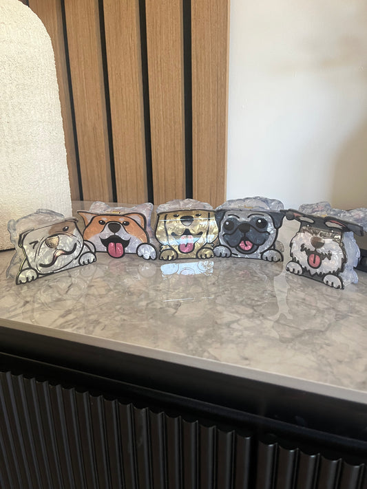 Hair Clips